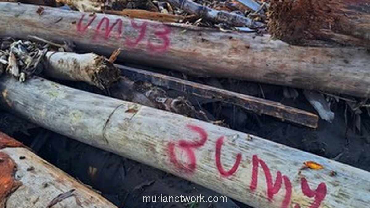 Misteri Kayu Bernomor Merah di Tengah Banjir Aceh