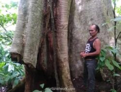 Cik Mail, Sang Penjaga Hutan Aceh yang Berjuang Sendirian