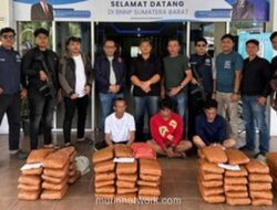Ratusan Paket Ganja Digagalkan di Agam, Tiga Tersangka Diciduk