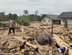 Korban Tewas Banjir-Longsor Sumatera Tembus 1.059 Jiwa
