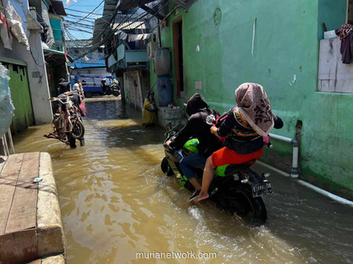 Rob Kembali Genangi Muara Angke, Warga Sudah Anggap Biasa