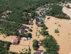 22,5 Ton Bantuan Logistik Diterbangkan ke Aceh, Kolaborasi WWF dan Maskapai Pecahkan Kendala Distribusi
