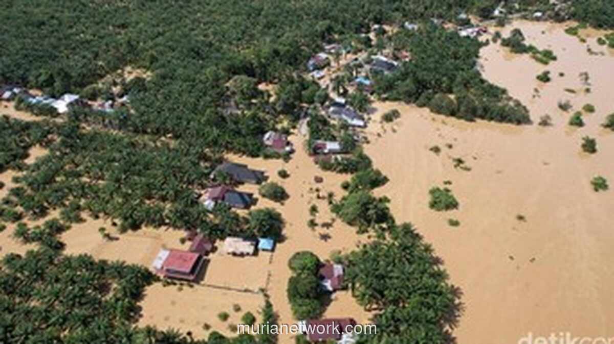 22,5 Ton Bantuan Logistik Diterbangkan ke Aceh, Kolaborasi WWF dan Maskapai Pecahkan Kendala Distribusi