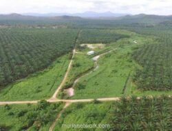 BRI Suntik Rp4,85 Triliun ke ANJT untuk Dongkrak Operasional