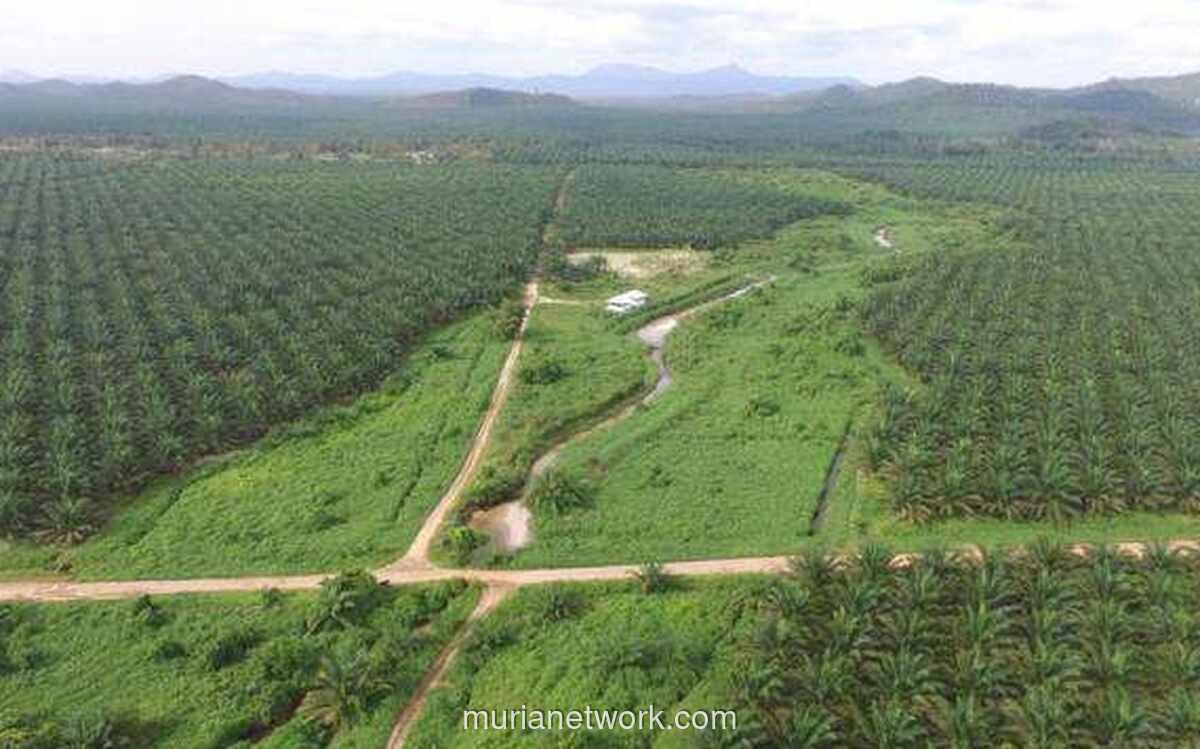 BRI Suntik Rp4,85 Triliun ke ANJT untuk Dongkrak Operasional