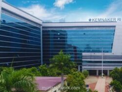 Kemnaker Buka 37 Ribu Lowongan Magang, Fresh Graduate Buruan Daftar!