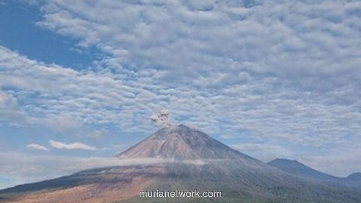 Gunung Semeru Muntahkan Awan Panas Setinggi 900 Meter