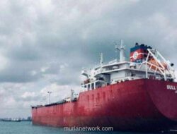 Saham BULL Melonjak 150%, Direktur No Comment Soal Rumor Akuisisi Sinarmas