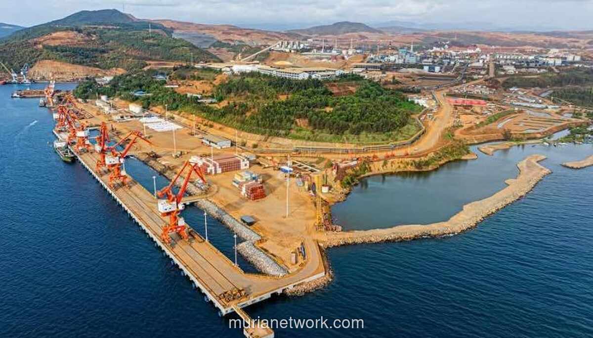 Hilirisasi Nikel: Pesta Laba untuk Jepang, Warisan Kerusakan untuk Rakyat