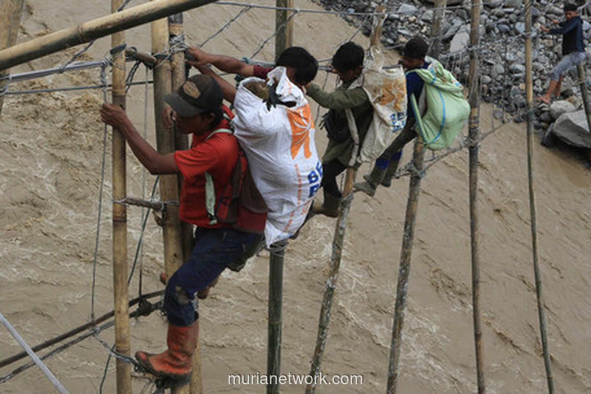Jembatan Bambu Darurat Jadi Penghubung Nyawa di Tengah Isolasi Aceh