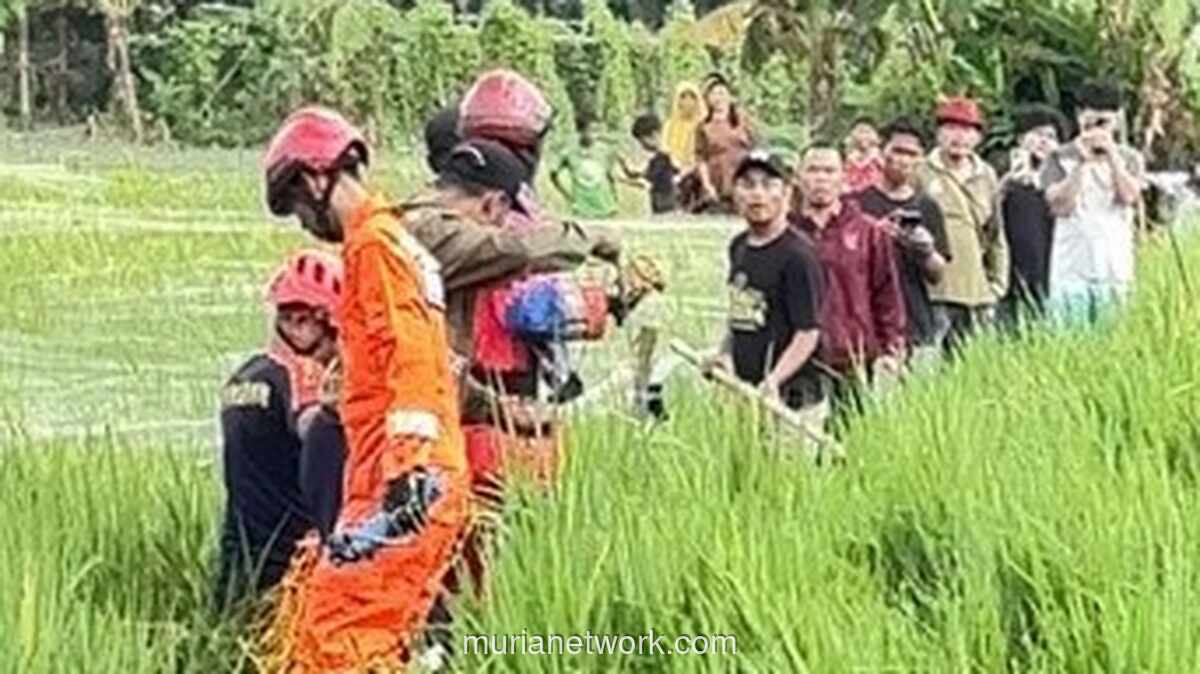 Dua Jam Perjuangan Petugas Bekasi Evakuasi Buaya dari Sawah