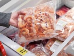 KKP Tegaskan Penarikan Udang di AS Adalah Kasus Lama, Ekspor Terkini Tetap Lancar