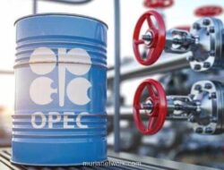 OPEC+ Tahan Napas, Produksi Minyak Beku Hingga 2026