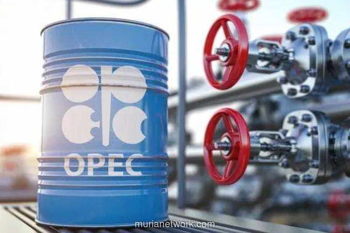 OPEC+ Tahan Napas, Produksi Minyak Beku Hingga 2026