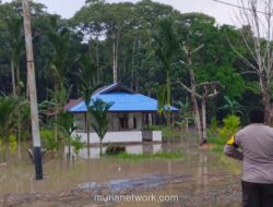 Banjir Rendam Sarmi, Jalan Trans Papua Terputus