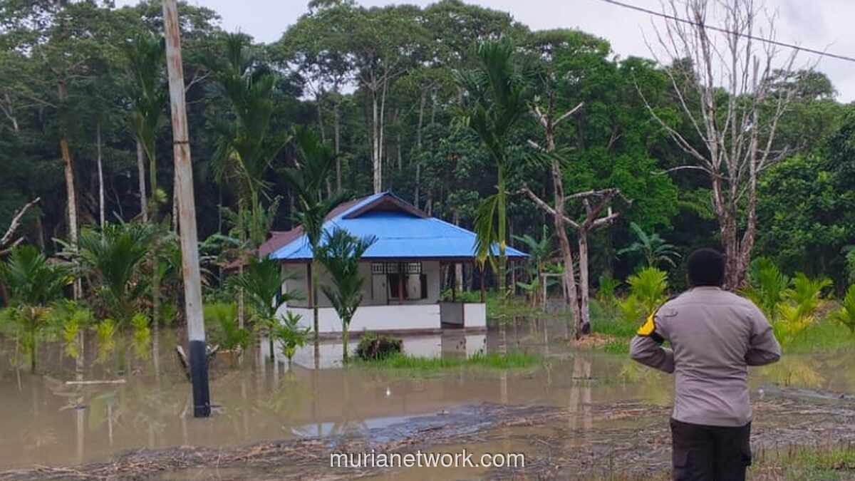 Banjir Rendam Sarmi, Jalan Trans Papua Terputus