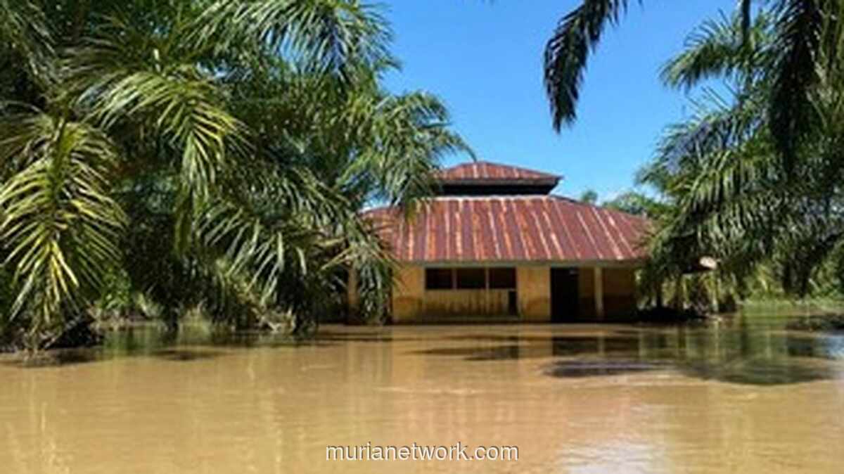 Subulussalam Terluka Parah: Kerugian Mencapai Rp 52,9 Miliar Pasca Banjir dan Longsor