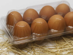 Mahasiswa UNY Gagas ChickenZ, Peternakan Modern yang Genjot Produksi Telur Omega-3