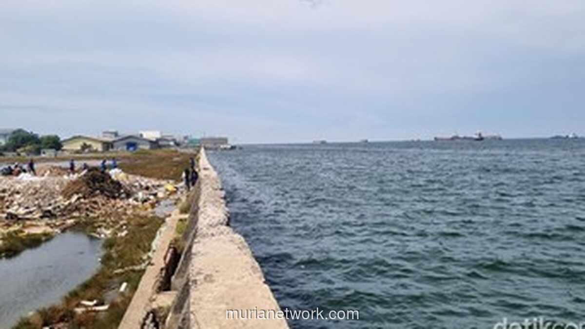 Korosi dan Tekanan Laut Picu Bocornya Tanggul Muara Baru