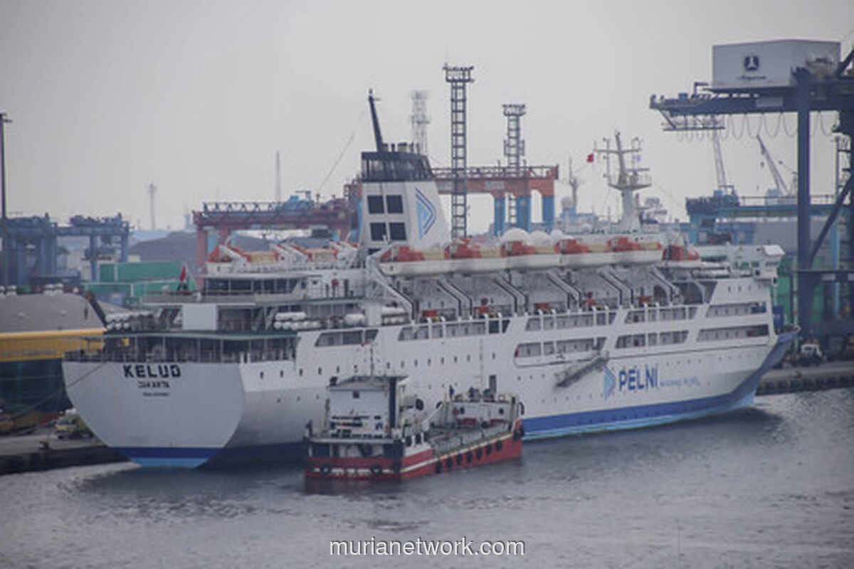 Menteri Perhubungan Soroti Krisis Kapal Penumpang, Pelni Dinilai Tak Mampu Penuhi Kebutuhan