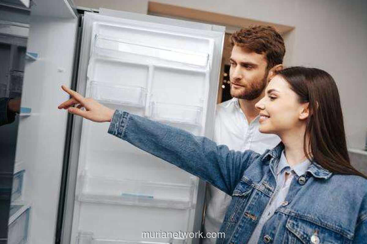 Kulkas Satu Pintu untuk Anak Kost: Hemat Listrik, Tak Sampai Rp2 Juta