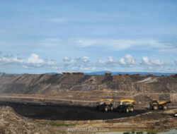 Pasar Komoditas Berakhir Pekan dengan Wajah Berbeda: Nikel Melaju, CPO Tersungkur