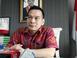 Gelondongan Kayu di Tengah Banjir, Anggota DPR Soroti Dugaan Penebangan Ilegal