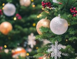 Dari Pagan hingga Pita: Kisah Panjang dan Tips Menghias Pohon Natal