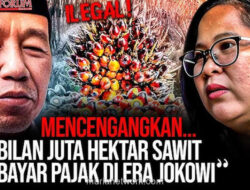 9 Juta Hektar Sawit Ilegal: Negara Dituding Tutup Mata Atas Kebun Tanpa HGU