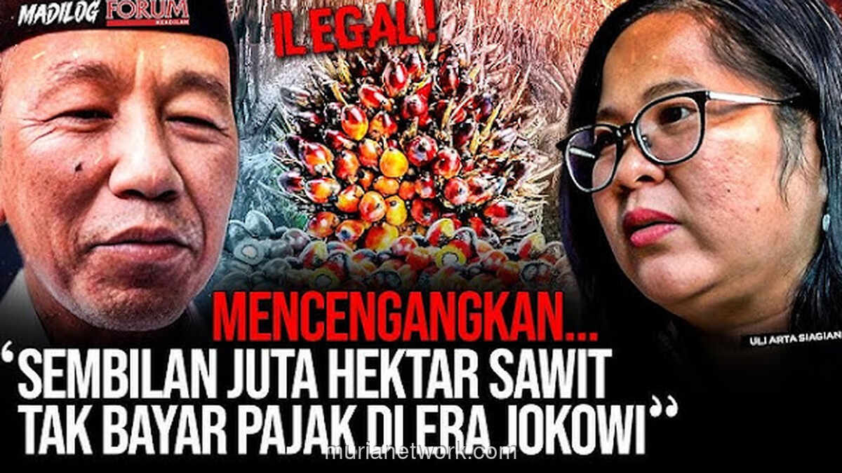 9 Juta Hektar Sawit Ilegal: Negara Dituding Tutup Mata Atas Kebun Tanpa HGU
