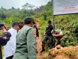 Segel Ratusan Lubang Tambang Ilegal di Taman Nasional, Negara Rugi Rp 304 Miliar