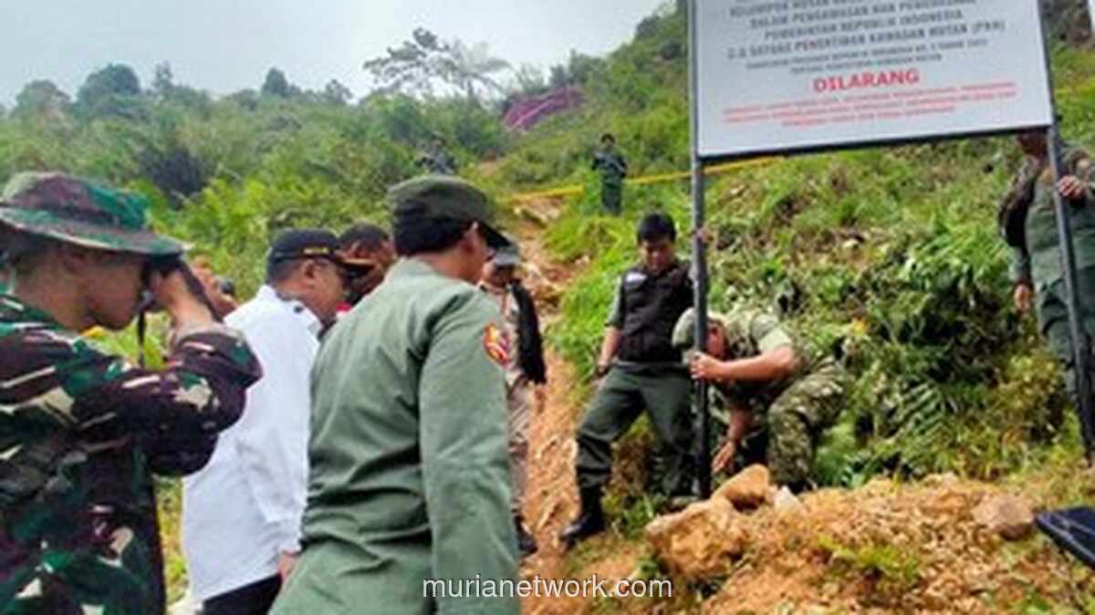 Segel Ratusan Lubang Tambang Ilegal di Taman Nasional, Negara Rugi Rp 304 Miliar