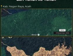 Hutan Habis, Negara Tetap Miskin: Untuk Siapa Kekayaan Alam Kita Dijarah?