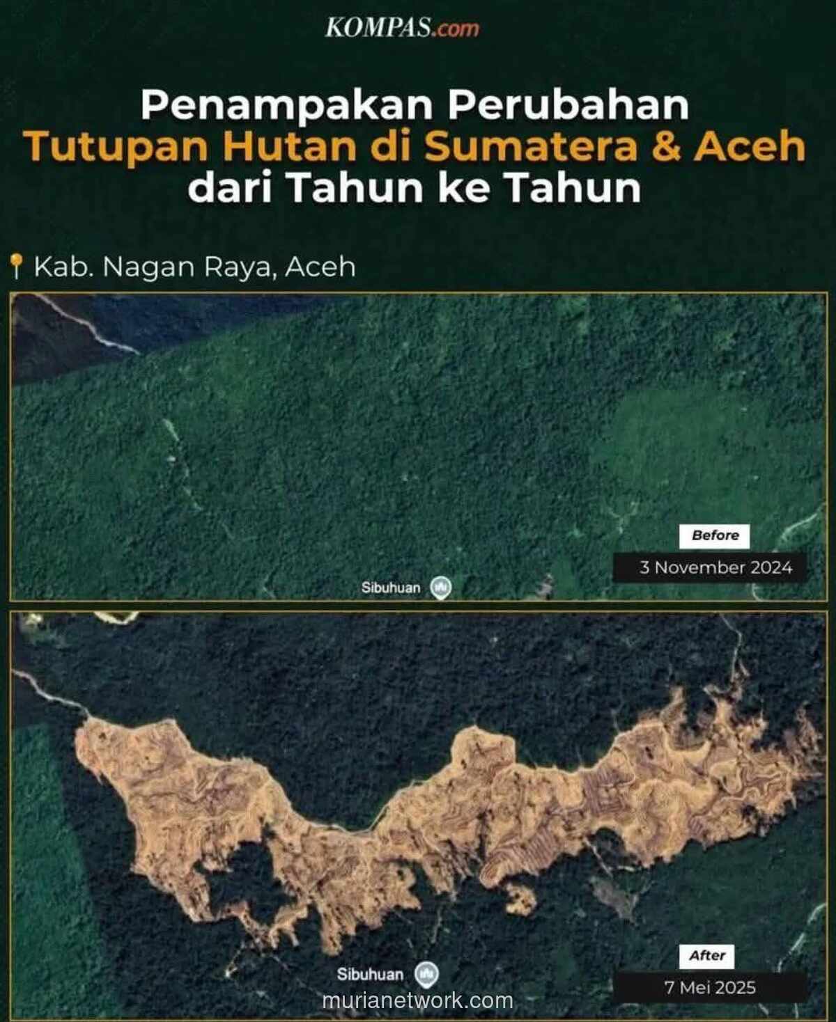 Hutan Habis, Negara Tetap Miskin: Untuk Siapa Kekayaan Alam Kita Dijarah?