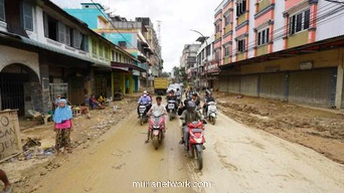 BNPB Umumkan 24 Daerah di Sumatera Beralih ke Fase Transisi Darurat