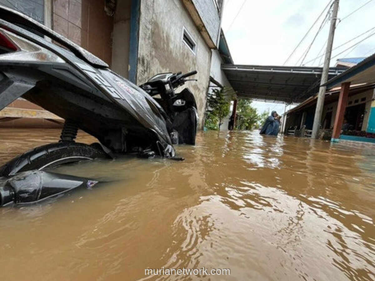 Sepekan Penuh Gejolak di Kalbar: Dari Rob, Tragedi, hingga Ular Numpang di Kap Mobil