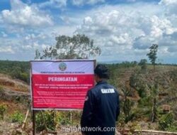 Lima Titik Pembalakan Liar Disegel, Diduga Picu Banjir di Sumatera