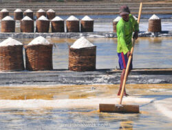 Standar Baru Garam Rakyat Dikebut, Targetnya Bisa Masuk Pasar Industri