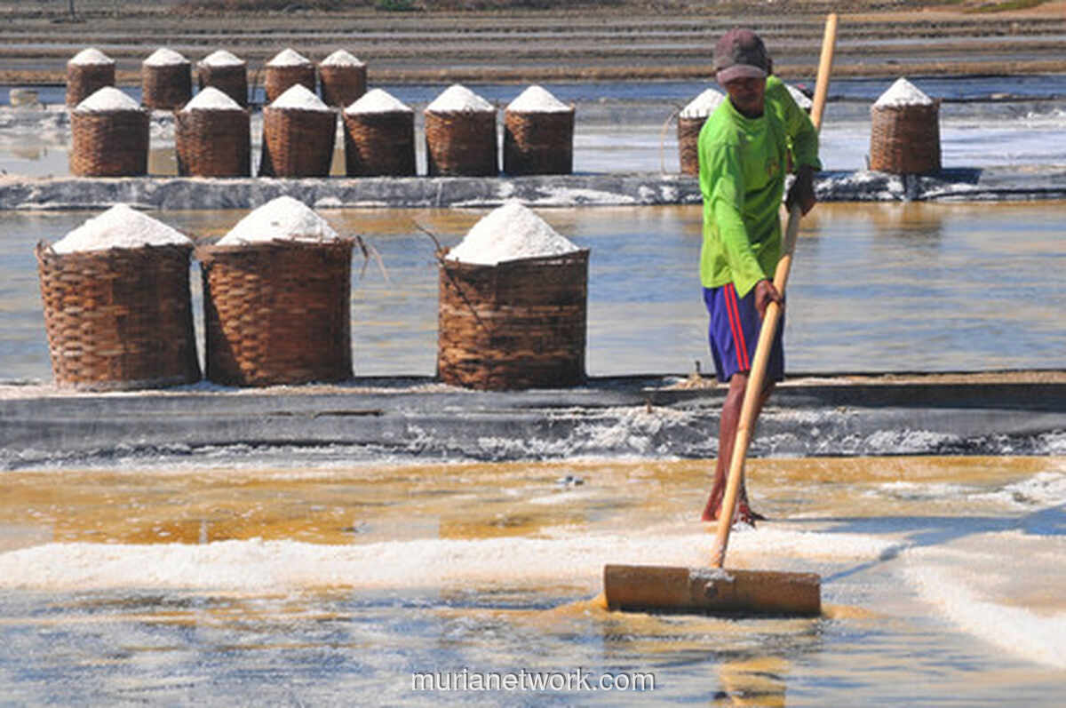 Standar Baru Garam Rakyat Dikebut, Targetnya Bisa Masuk Pasar Industri