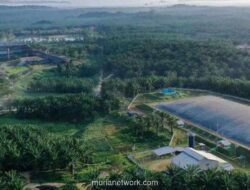 BWPT Gelontorkan Rp210 Miliar Obligasi Berkelanjutan, Sasar Refinancing dan Operasional