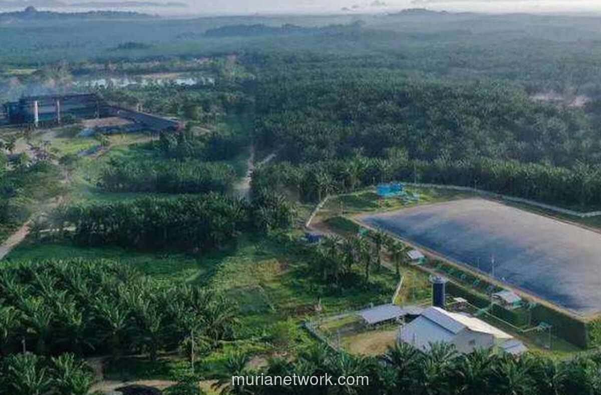 BWPT Gelontorkan Rp210 Miliar Obligasi Berkelanjutan, Sasar Refinancing dan Operasional