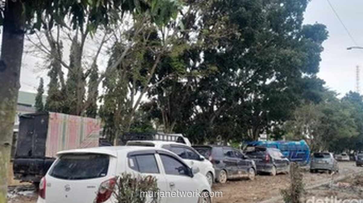 Banjir Belum Surut, Aksi Penjarahan Kendaraan Korban Merekam di Aceh Tamiang