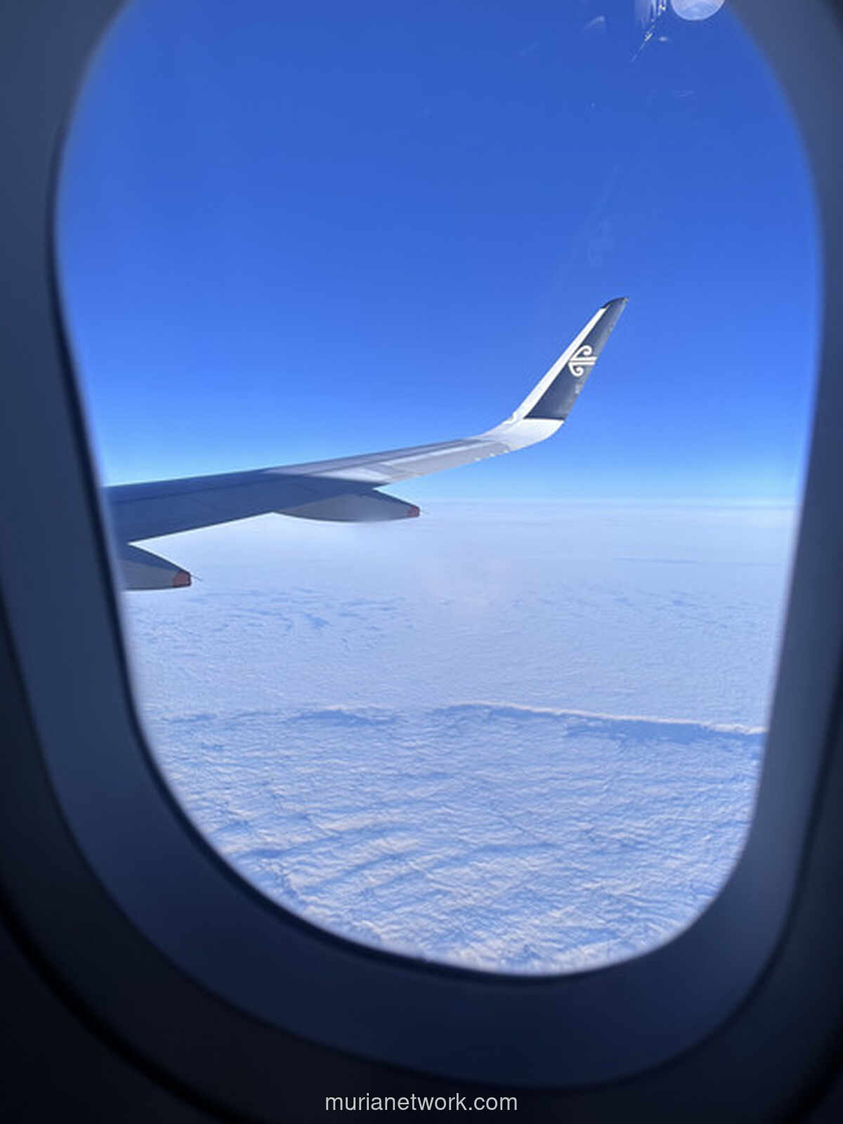 Tiket Kelas Bisnis Hanya untuk Mencuri, Sindikat Pencuri Pesawat Terbongkar di Singapura