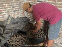 Program MBG Ubah Nasib Peternak Itik Madiun, Omzet Telur Asin Naik Ribuan Persen