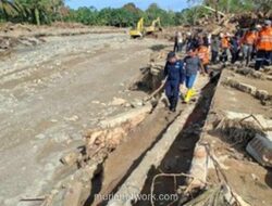 Menteri LHK Buka Suara: Kayu Gelondongan di Banjir Tapanuli Bukan Murni Bencana Alam