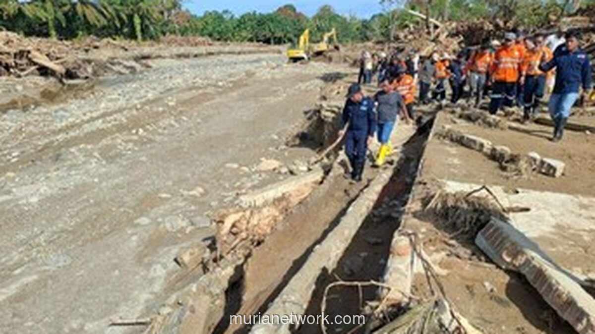 Menteri LHK Buka Suara: Kayu Gelondongan di Banjir Tapanuli Bukan Murni Bencana Alam