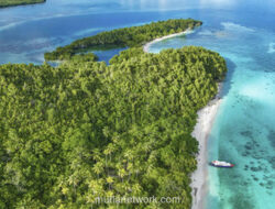 Menyelam di Obi: Menemukan Cermin Biru yang Tersembunyi di Maluku