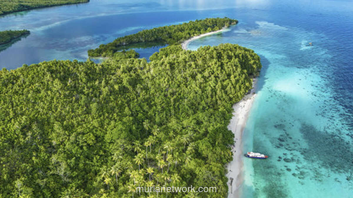 Menyelam di Obi: Menemukan Cermin Biru yang Tersembunyi di Maluku