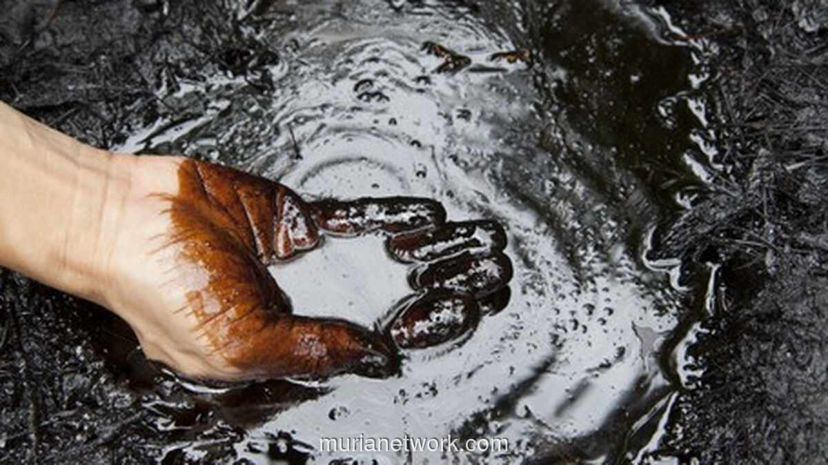 Harga Minyak Naik Tipis di Tengah Ketegangan Pasokan dan Data Ekonomi AS yang Campur Aduk