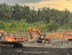 Izin Dicabut, Konsesi Berganti: Hutan Tetap Jadi Korban
